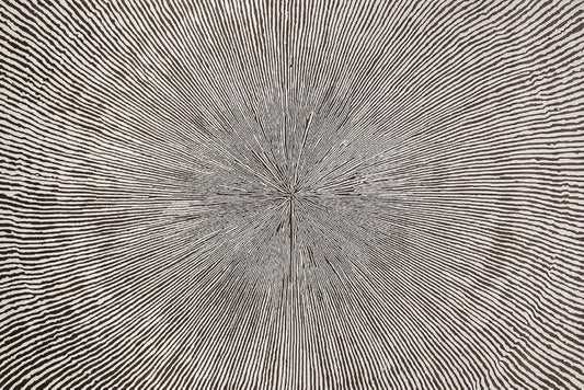 BO681BN High-quality carpets