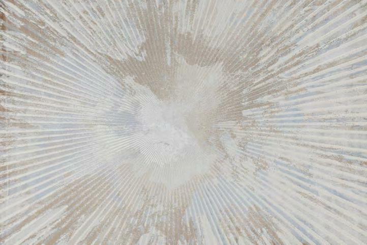 BED080BN High-quality carpets