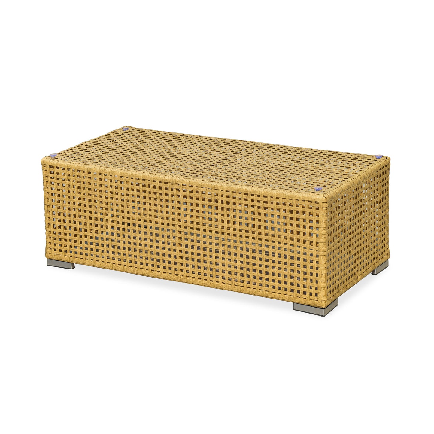 XS N2313CT Coffee table