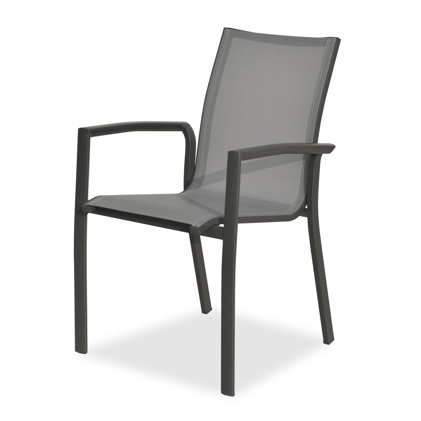 XS N9069DG Chair